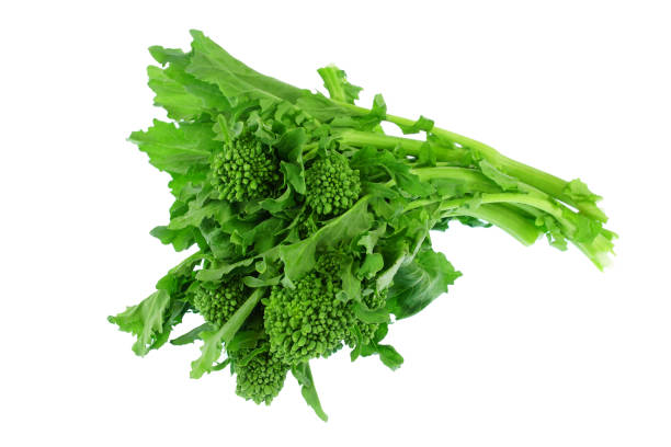 istock close up on a bunch of broccoli flower leaf vegetable 1991774898