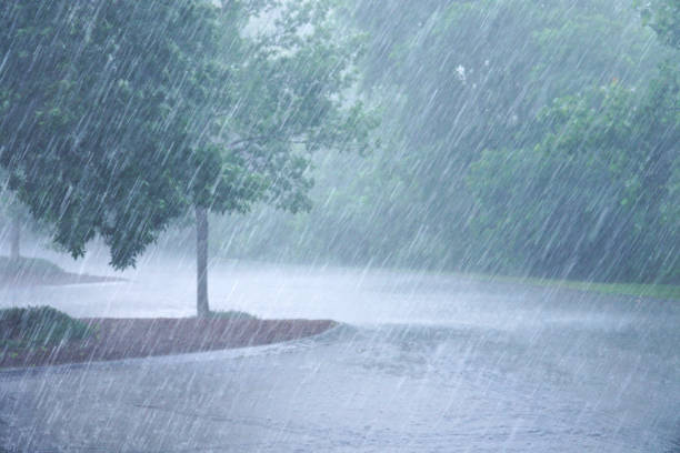 istock heavy rain and tree in the parking lots 1991775929