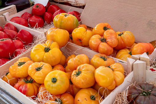 delicious yellow beef tomatoes on the market place