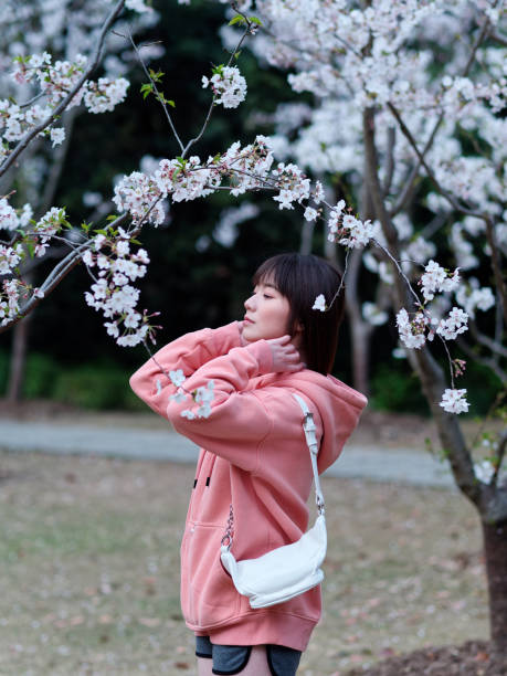 istock Beautiful young Chinese woman posing under blooming cherry tree, wearing pink loose oversized top with small white shoulder bag. Candid moment. Emotions, people, beauty, youth and lifestyle portrait. 1991798539