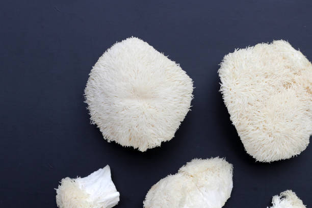 istock Fresh lion's mane mushroom on dark background. 1991804279