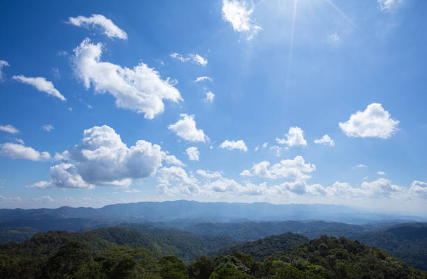 Lush green grass and hill, grasslands national park, Thailand