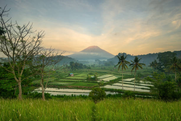 istock tranquility morning of bali 1991829058