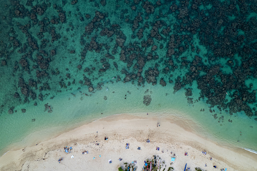 Aerial view of unrecognizable tourists and locals lounging on a sandy beach and enjoying beautiful clear blue ocean water on a gorgeous and sunny day in Hawaii.