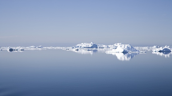 Many Icebergs drifting,  floating on the calm Antarctic Ocean at the coast of Antarctica Peninsula in the sun under sunny cloudless sky, mirroring in the tranquil, calm Antarctica Ocean. Slightly blue toned Panorama. Antarctic Ocean, Coast of Antarctica.