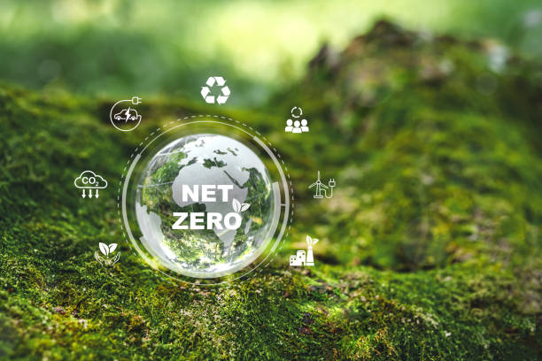 istock Crystal earth in forest Environment save the World Sustainable development goal (SDGs) Ideas for Sustainable development and green business based Global communication 1991888128