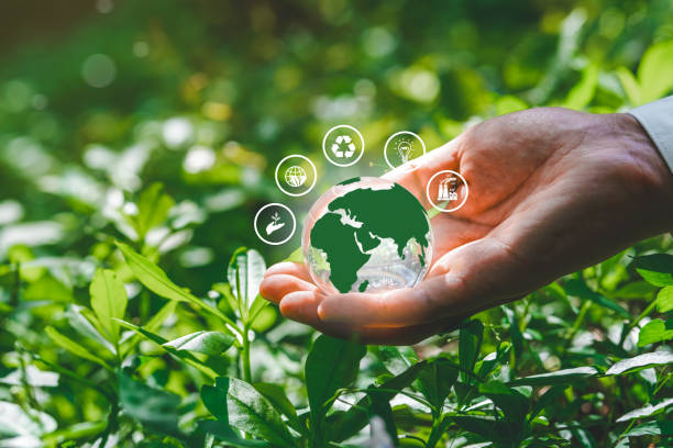 istock ESG concept ,Sustainable development goal (SDGs) Ideas for Sustainable development and green business based Global communication network with Environment icon on Green technology and Environmental technology 1991888643