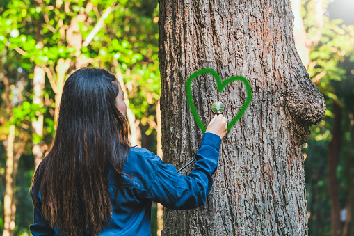 Human hand Hug and touching tree in the forest .people protect from deforestation and pollution or climate change Concept to love nature and tree . environment ecology and Earth Day concept