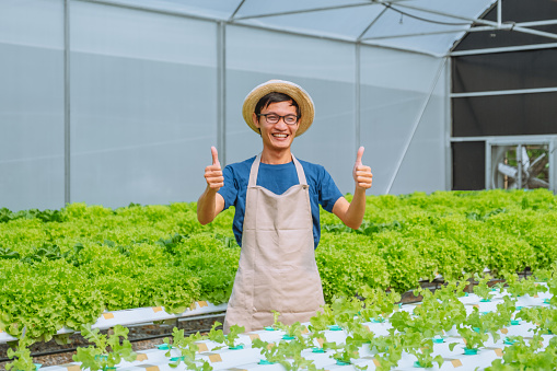 Happiness Asian Man gardener Working with freshness vegetable hydroponic greenhouse in hydroponic farm