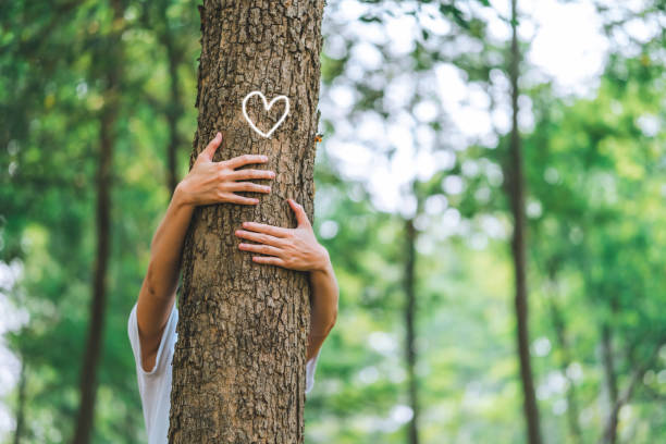 istock Human hand Hug and touching tree in the forest .people protect from deforestation and pollution or climate change Concept to love nature and tree . environment ecology and Earth Day concept 1991891840