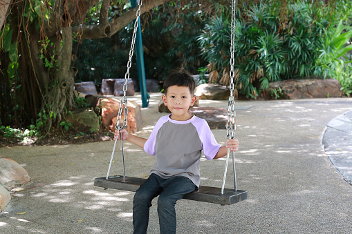Portrait of Asian little boy kid having fun playing on swing in the garden.