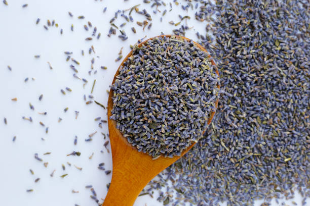 istock Dried lavender buds for brewing a herbal tea 1991906202