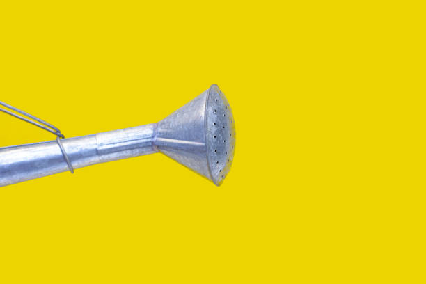 Zinc watering can for showering plants