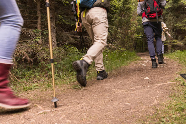 istock Back view of unrecognizable hikers walking through the woods. 1991951693