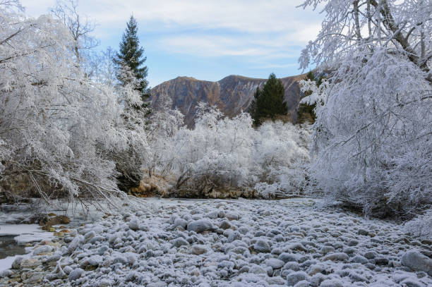 A serene, frosty scene unfolds with a river meandering through a forest and mountains under a clear winter sky.
