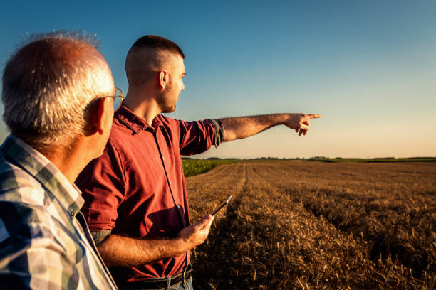istock Two farmers standing in a field examining wheat crop at sunset and using tablet. 1991987622