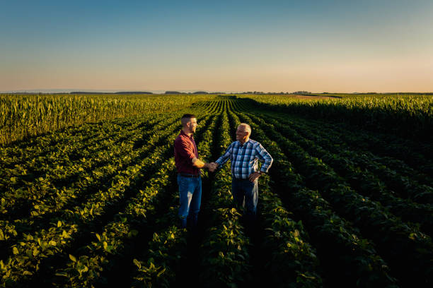 istock Two farmers in soy field making agreement with handshake at sunset. 1991988131