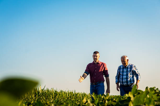 istock Two farmers walking in a field examining soy crop. 1991988692