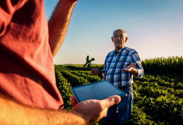 istock Two farmers talking in a field examining soy crop. 1991989205