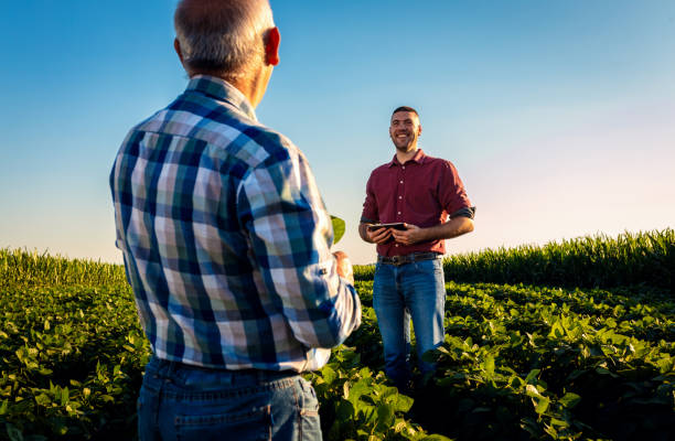 istock Two farmers talking in a field examining soy crop. 1991989216