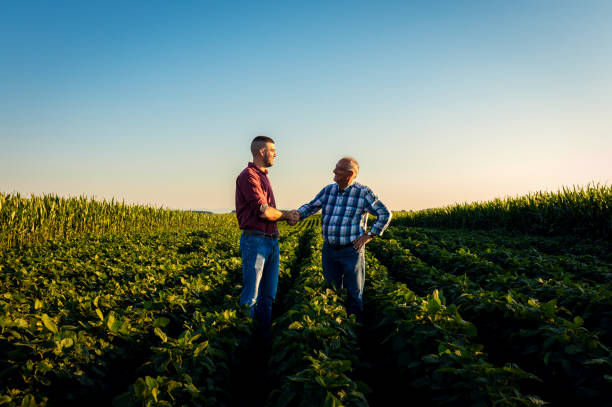 istock Two farmers in soy field making agreement with handshake at sunset. 1991989730