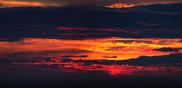 Colorful dark sunset with orange sky and birds flying, panoramic view, beautiful nature landscape
