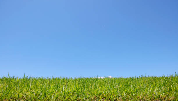 istock beautiful blue sky and lawn 1992037201