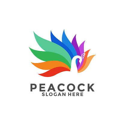 Luxurious Peacock bird logo icon, Abstract Peacock colorful logo vector design template