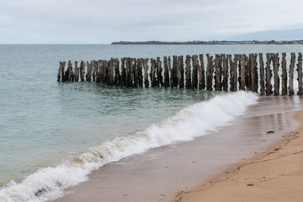 Tree trunks on the beach of Saint-Malo (Brittany, France) at high tide on a cloudy day in summer