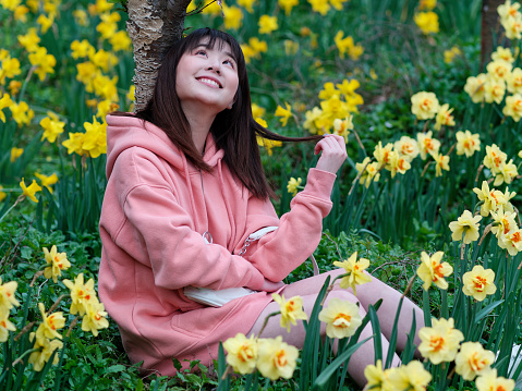 Beautiful young Chinese woman sitting in yellow daffodil flower field smiling and looking upwards. Candid happy moment. Emotions, people, beauty, youth and lifestyle portrait.