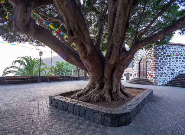 Restaurant  in Masca village on Tenerife