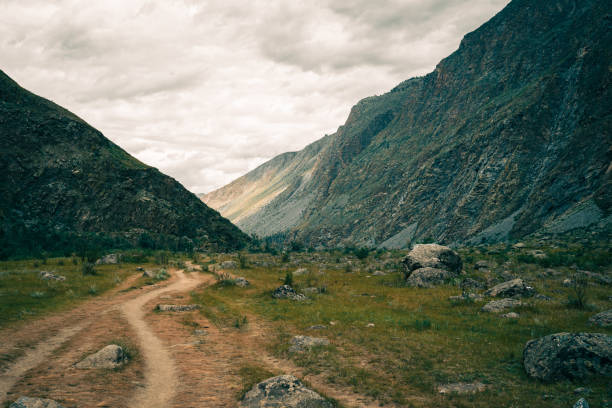 Trail in the Altay mountains
