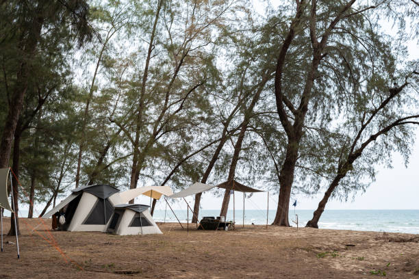 istock Camping in a tent on the beach by the sea 1992130449