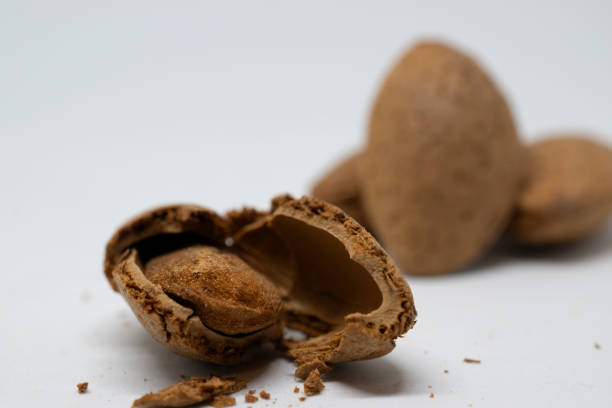 istock Cracked almond and white background 1992188798