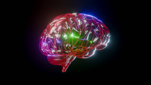 istock Brain digital. Neuron connections. Futuristic medical technology concept. 1992205644