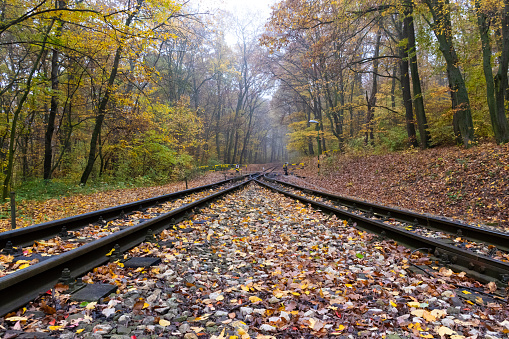 Railroad in autumn forest, Budapest