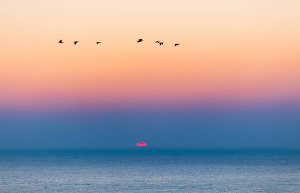 Sea sunrise landscape. rising sun