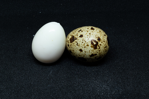 Quail egg and black background