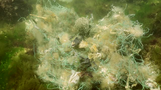 Close up, Dead Goby fish in lost fishing net lies on seabed on bright sunny day in Black sea, Ghost gear pollution of Seas and Ocean, Slow motion, Camera moves backwards