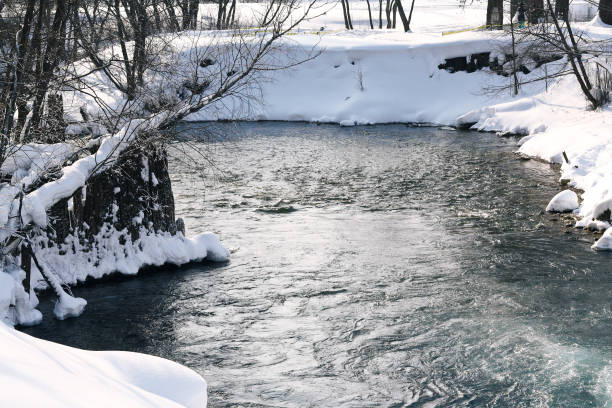 A tranquil river flows through a snowy forest, surrounded by snow-covered trees and banks. The serene winter landscape is illuminated by the warm sunlight, creating a picturesque and soothing scene.