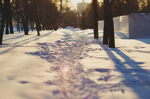 Tranquil winter landscape featuring a snow-covered path winding through a forest with sunlight filtering through the trees, creating a serene atmosphere for outdoor exploration and adventure.