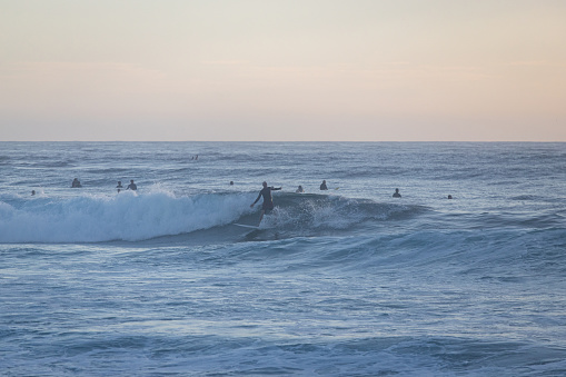 Sydney, Australia - January 21, 2024: One surfer riding in front of the crowd.