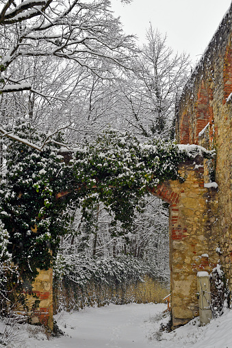 Austria, snow-covered ruins of the Leopold Chapel from the 17th century in the Mannersdorf Wueste nature reserve