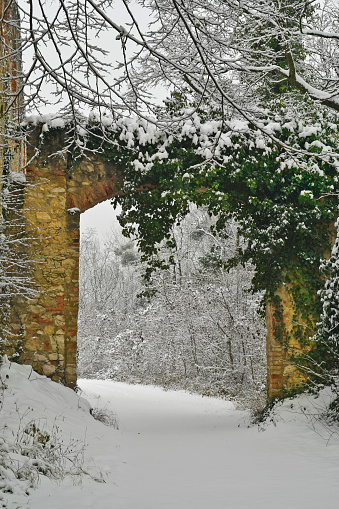 Austria, snow-covered ruins of the Leopold Chapel from the 17th century in the Mannersdorf Wueste nature reserve