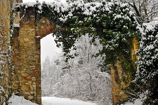 Austria, snow-covered ruins of the Leopold Chapel from the 17th century in the Mannersdorf Wueste nature reserve