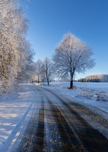 View of the road on a sunny winter day. The frozen tree crowns growing along the road look phenomenal.