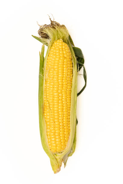 istock Top view of a corn cob 1992294135