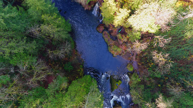 Ascending drone footage of calm river flowing and bridge in Pacific Northwest during Fall.