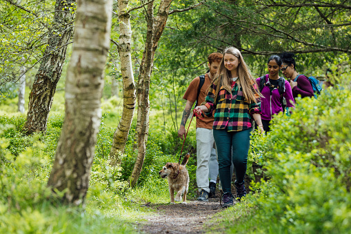 A low-angle full-length shot of a small group of friends hiking together in the countryside of Northumberland, North East England. They are walking along a footpath in a wooded area and there is dappled sunlight on the surrounding foliage. They are wearing casual clothing and backpacks, the one leading the way has a dog on a lead.