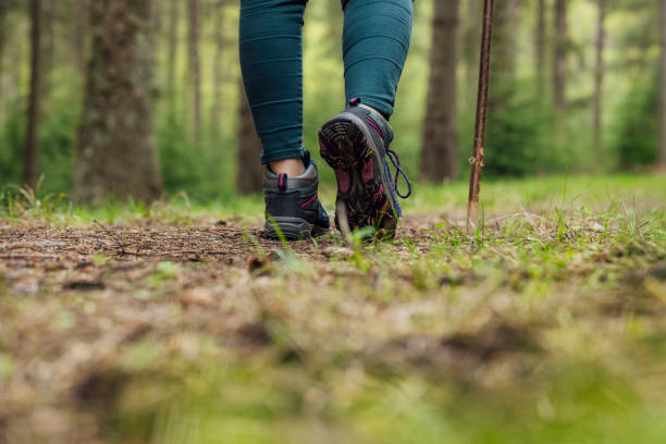 istock Wearing in the Hiking Boots 1992330113